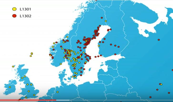 Viking mutations, distribution global.jpg
