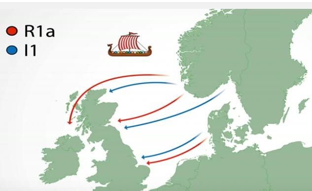 Viking haplogroups eastward.jpg