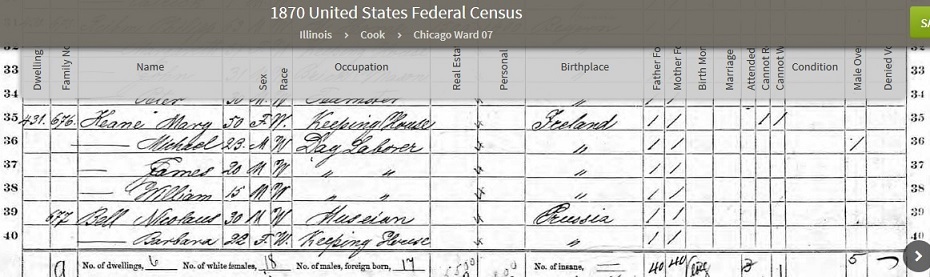 Mary Keane 1870 Chicago Census.jpg