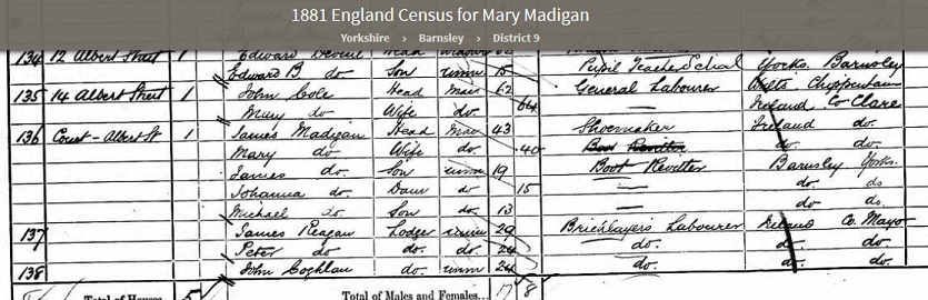 James Madigan family 1881 Census Barnsley Yorkshire.jpg