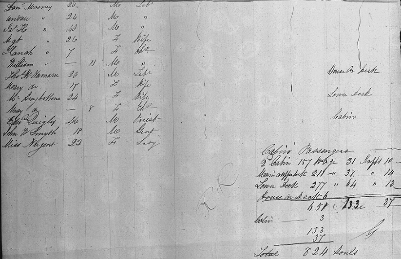 Passenger List of Emerald Isle to NYC from Liverpool 1856.jpg