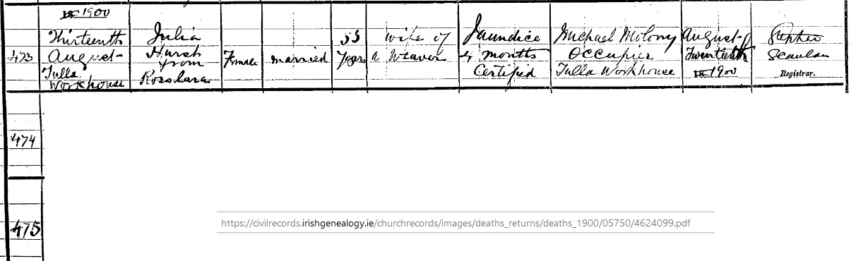 1900 Civil death record for Julia McNamara Hurst.jpg