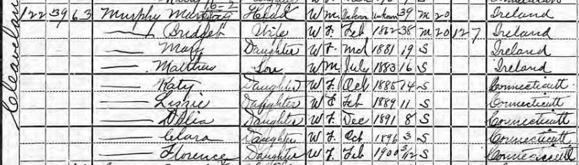 1900 Census, Martin Murphy household, New Britain, Hartford County, CT.jpg