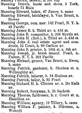 Manning, Bklyn 1856 diry.jpg